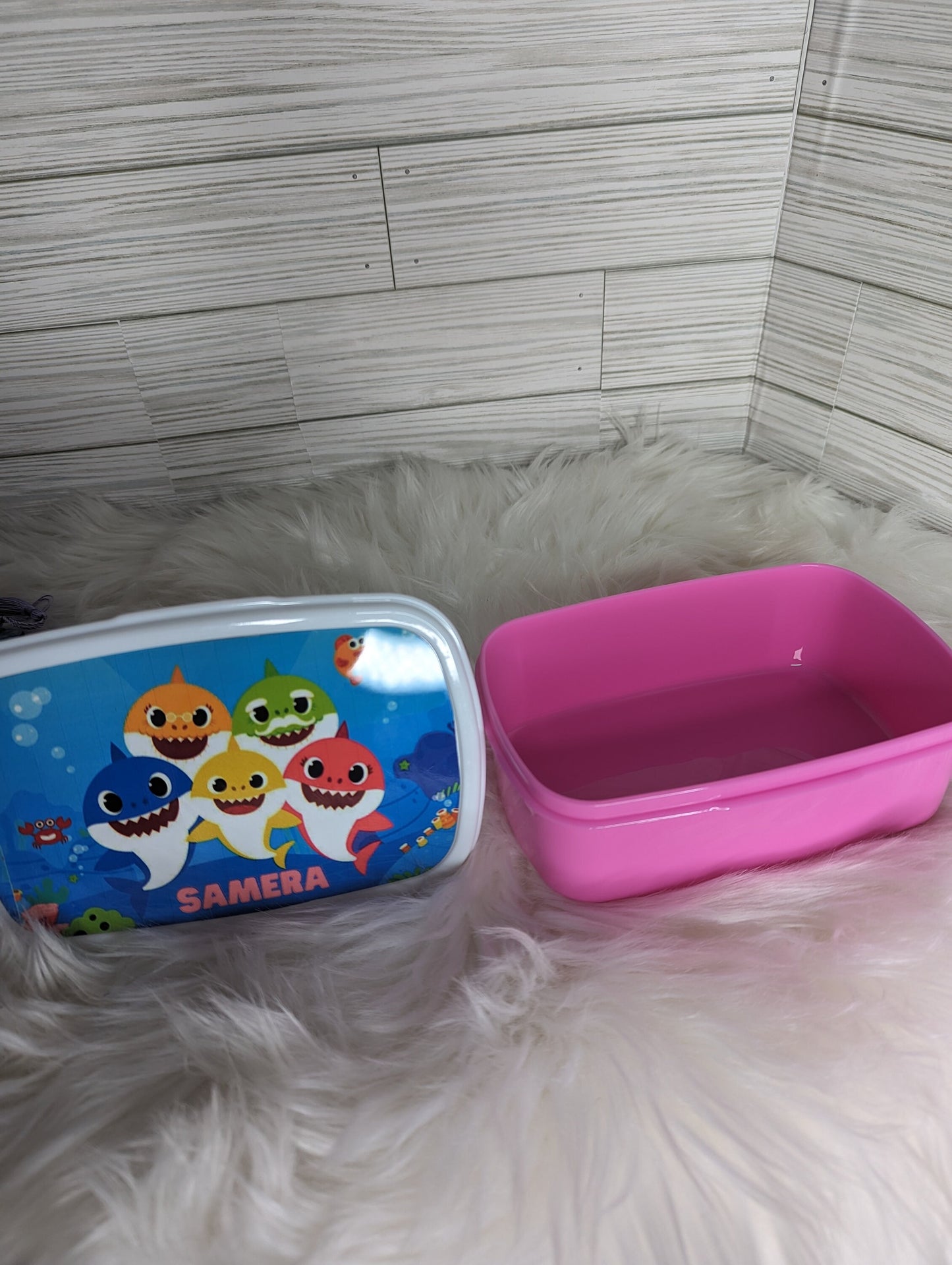 Baby Shark Lunch Container